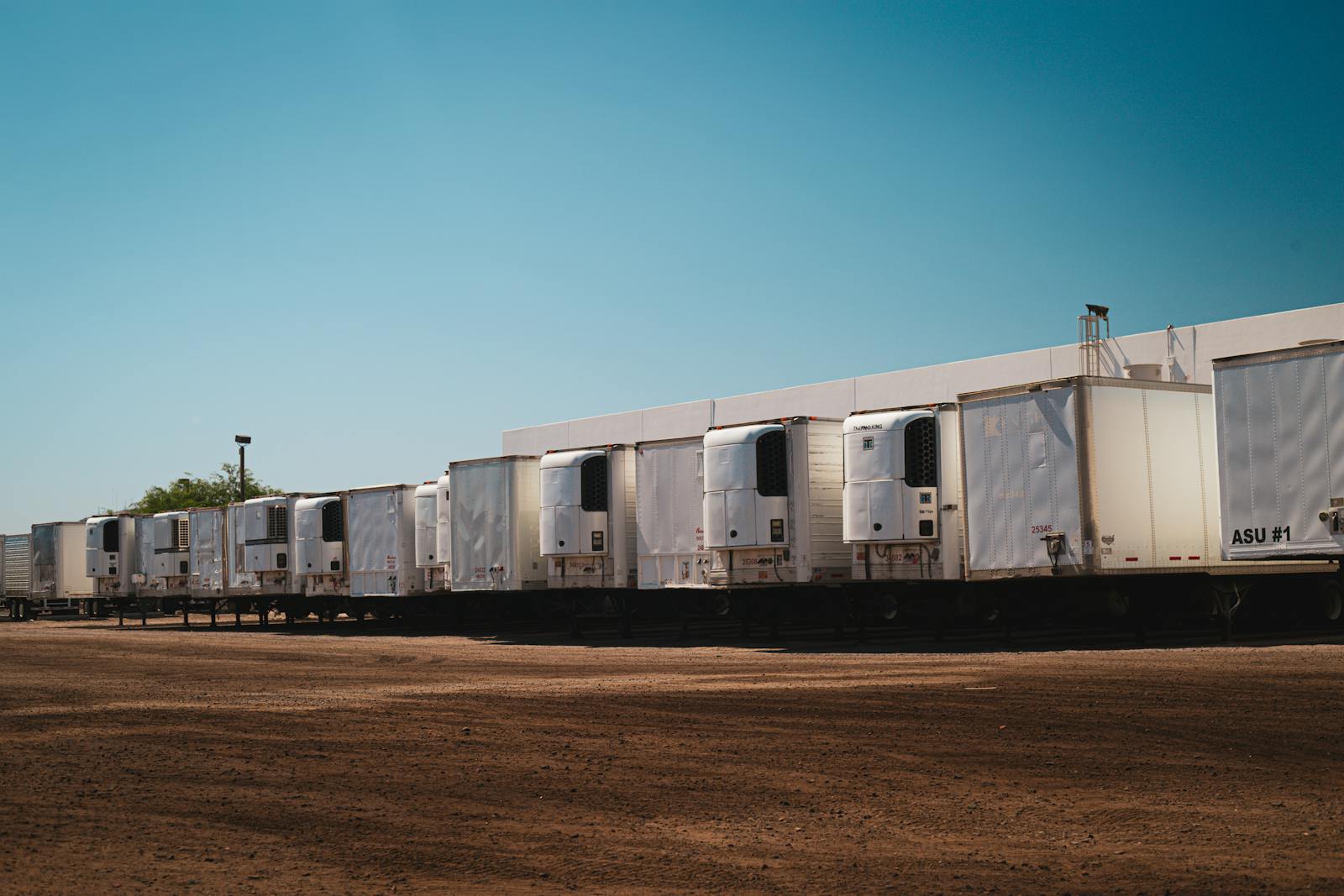 Cold Chain Logistics